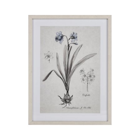 ELK HOME Daffodil Botanic Framed Wall Art S0056-10634